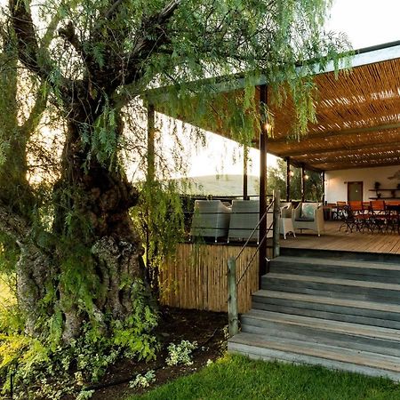 Swartberg Country Manor Konuk evi Matjiesrivier  Dış mekan fotoğraf