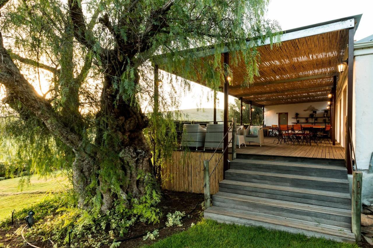 Swartberg Country Manor Konuk evi Matjiesrivier  Dış mekan fotoğraf