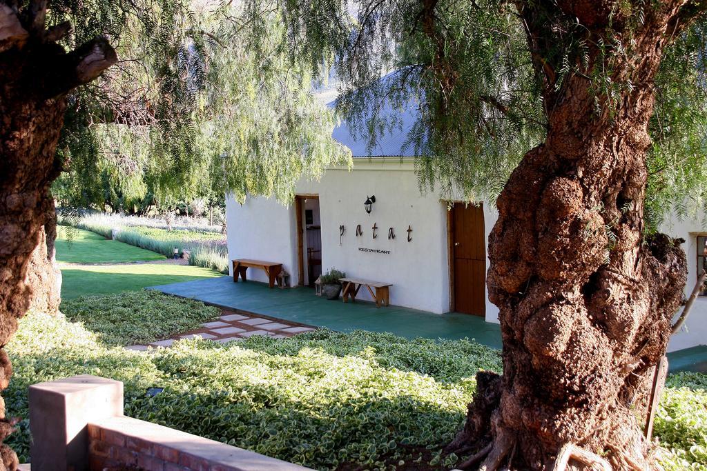 Swartberg Country Manor Konuk evi Matjiesrivier  Dış mekan fotoğraf
