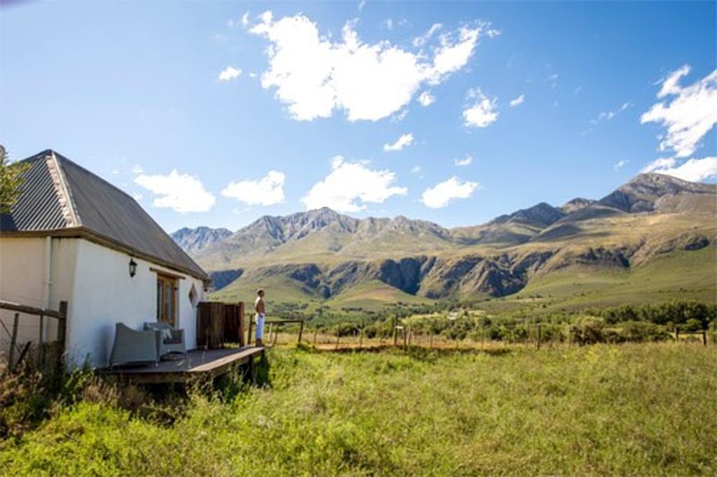 Swartberg Country Manor Konuk evi Matjiesrivier  Dış mekan fotoğraf