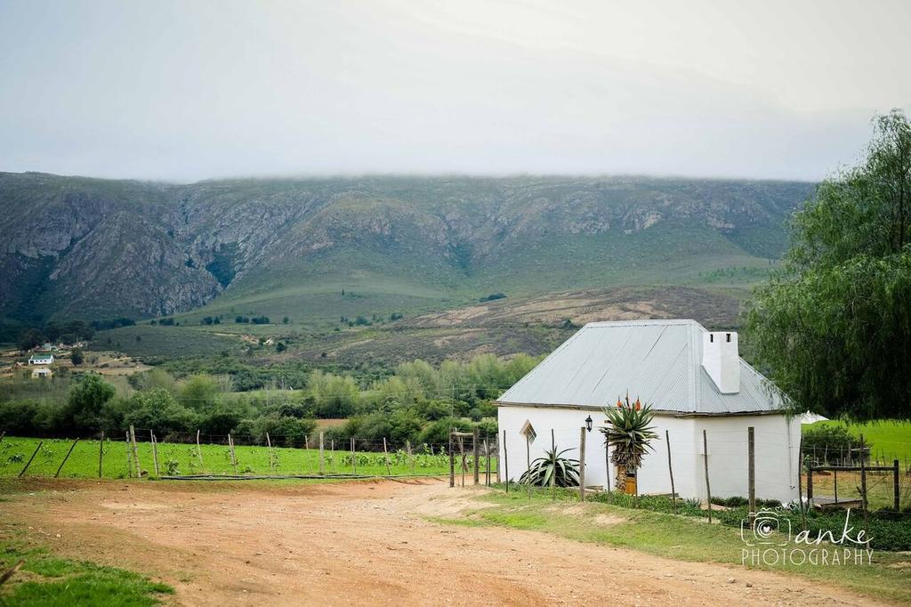 Swartberg Country Manor Konuk evi Matjiesrivier  Dış mekan fotoğraf