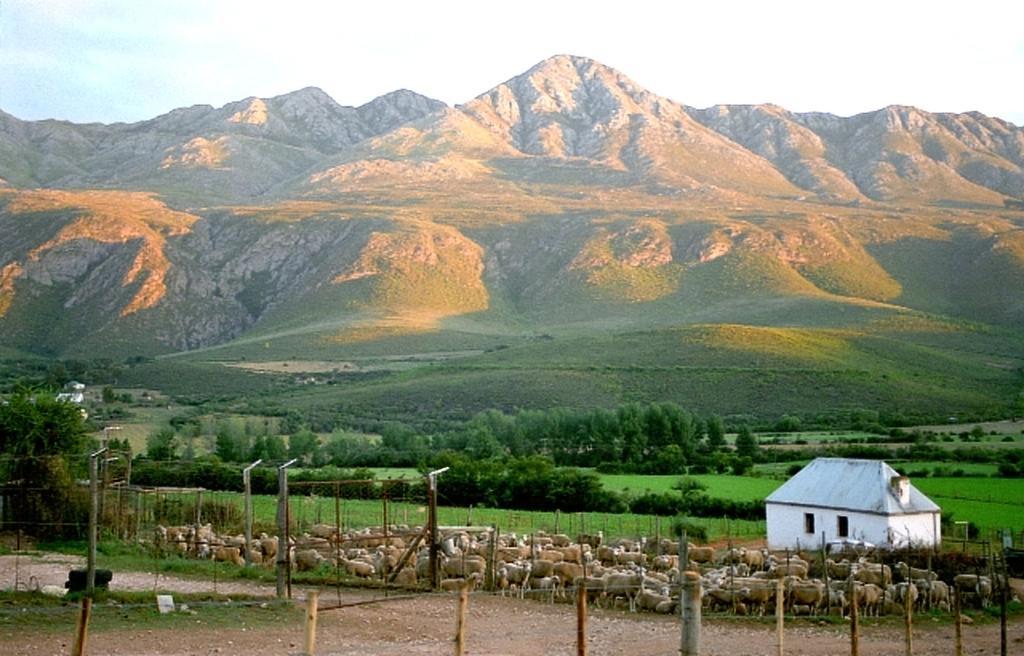 Swartberg Country Manor Konuk evi Matjiesrivier  Dış mekan fotoğraf