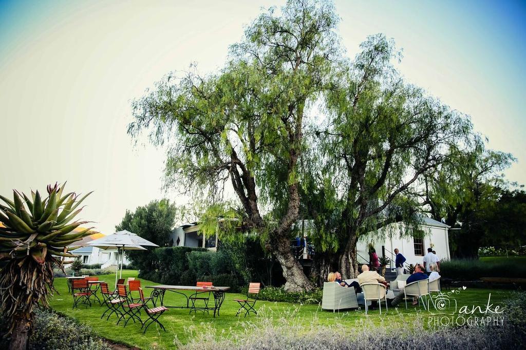 Swartberg Country Manor Konuk evi Matjiesrivier  Dış mekan fotoğraf